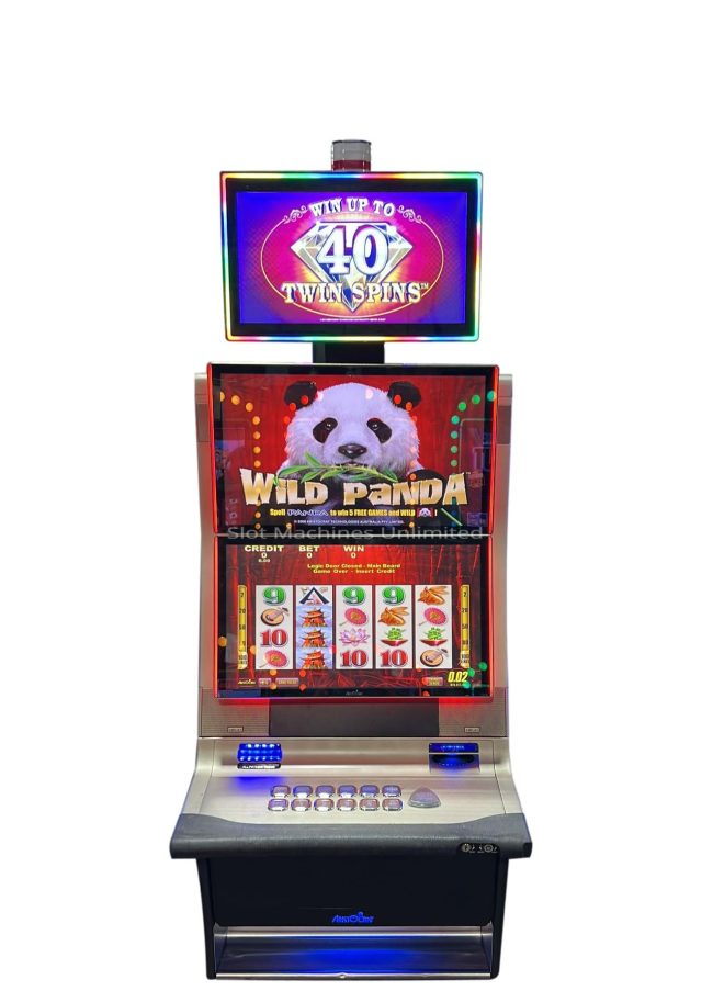 Wild Panda